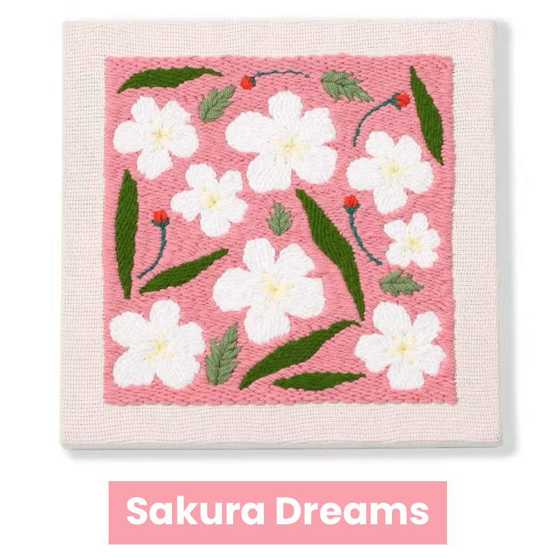 Punch needle kit with Frame