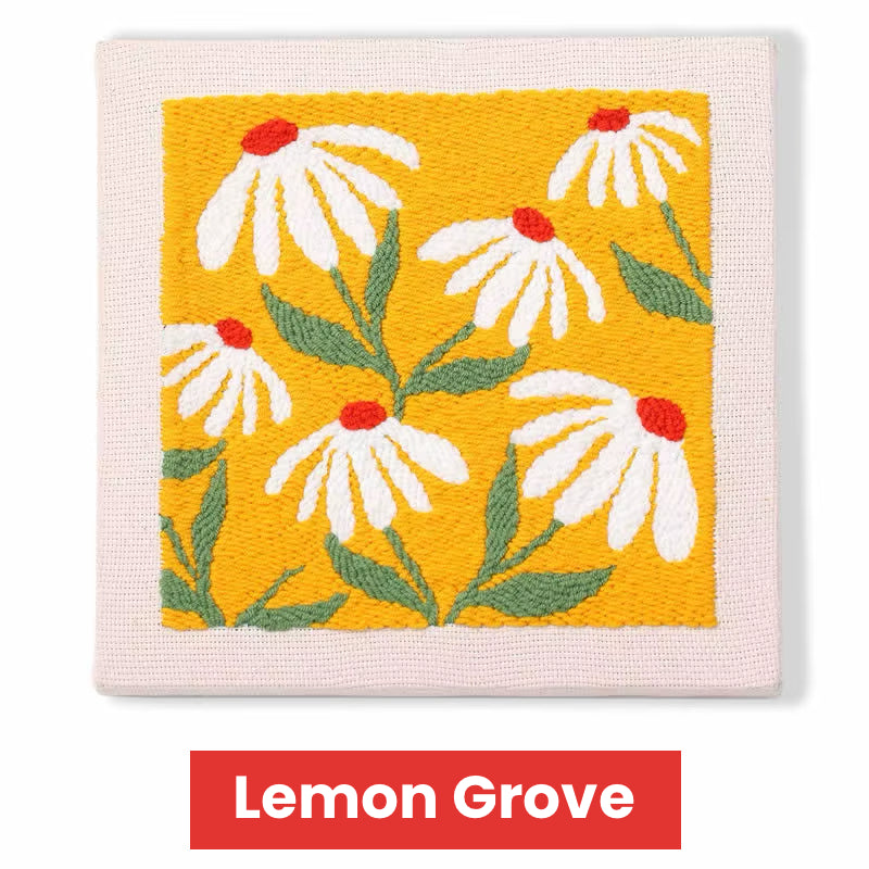 Punch needle kit with Frame